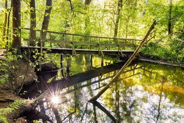 Fluß-Wald-Erlebnispfad, der Wanderweg im Örtzetal naturnah wandern ab Müden (Örtze)