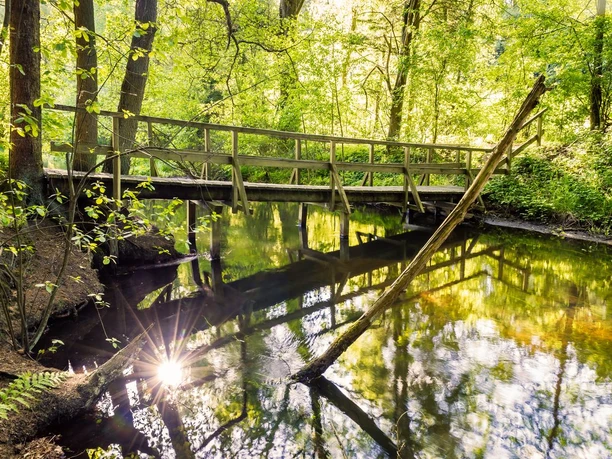 Fluß-Wald-Erlebnispfad, der Wanderweg im Örtzetal naturnah wandern ab Müden (Örtze)
