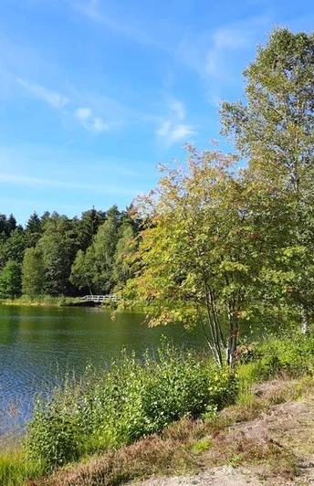 Angelbecksteich bei Hermannsburg Angelbecksteich bei Hermannsburg