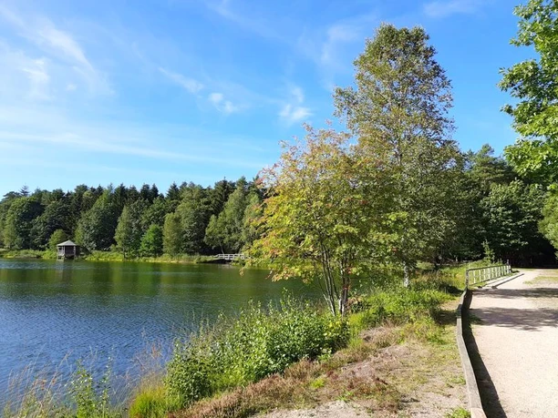 Angelbecksteich bei Hermannsburg Angelbecksteich bei Hermannsburg