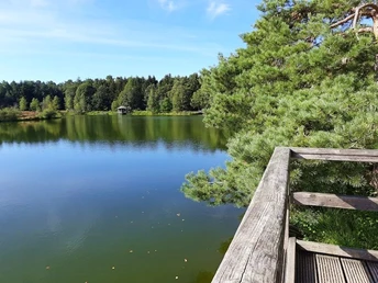 Angelbecksteich bei Hermannsburg Angelbecksteich bei Hermannsburg