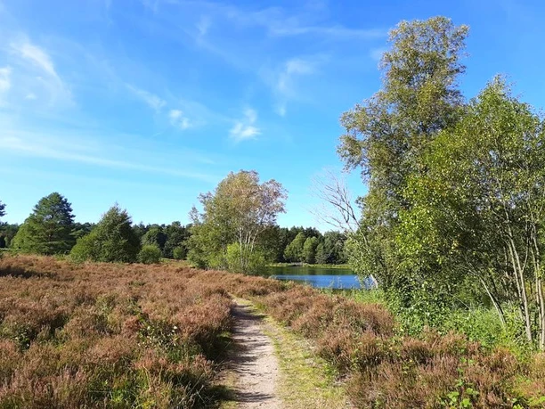 Angelbecksteich bei Hermannsburg Angelbecksteich bei Hermannsburg