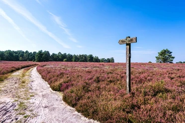 Wegweiser am Hausselberg hausselberg, mueden, naturpark suedheide