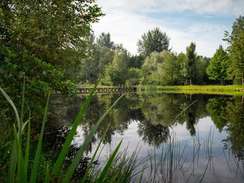 See in Bargfeld See in Bargfeld