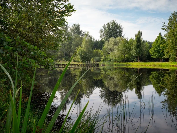 See in Bargfeld See in Bargfeld