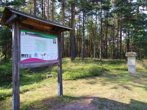 Haußelberg Südheide survey stone from gauss
