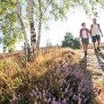 Hiking on the Heidschnucken Trail through the Lüneburg Heath