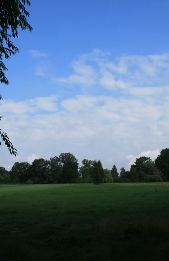 Blick ins Örtzetal Blick ins Örtzetal