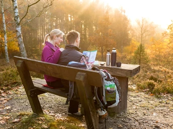 Rastplatz im Wald Rastplatz im Wald