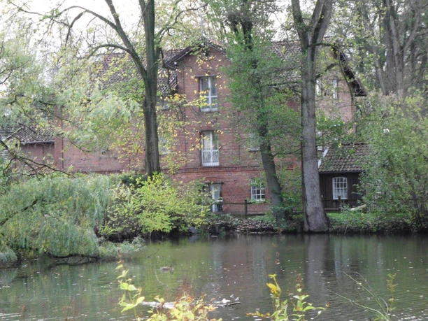 Mühlenteich Mühlenteich