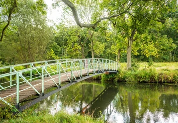 Die Teufelsbrücke an der Ilmeanu Teufelsbrücke am Heidefluss Ilmeanu bei Lüneburg in der Lüneburger Heide