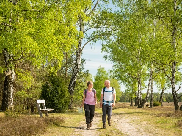 Frühlingswandern auf dem Naturerlebnispfad Südheide Frühlingswandern auf dem Naturerlebnispfad Südheide