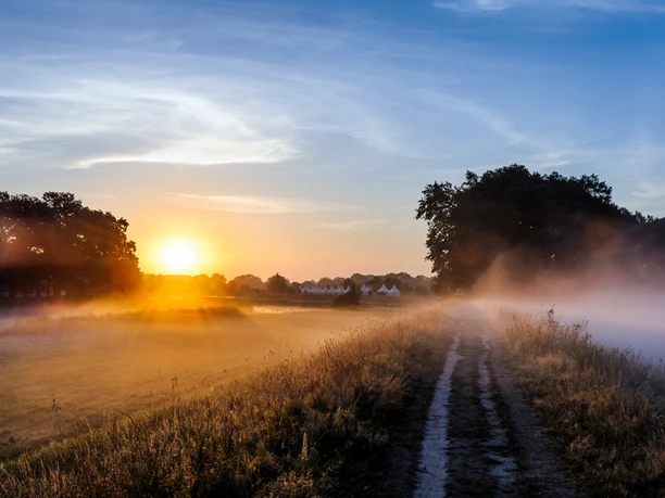 Der Morgen erwacht
