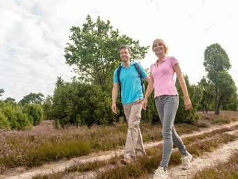 Wandern im Wacholderwald Schmarbeck Wanderweg von 4,4 km durch den Wacholderwald Schmarbeck