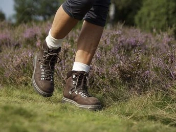 Wandern durch die Heide Wanderung durch die Lüneburger Heide