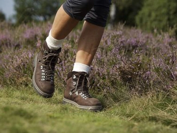 Wandern durch die Heide Wanderung durch die Lüneburger Heide