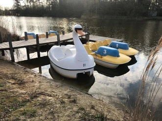 Tretboote in Form eines Schwans und Enten schwimmen an einem Holzsteg auf einem ruhigen See.