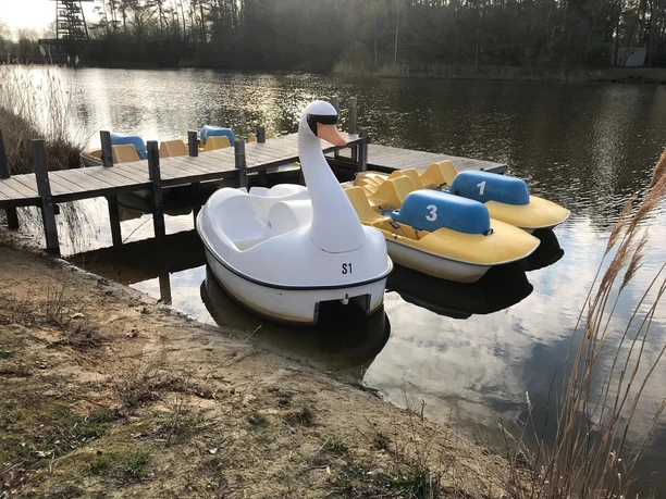 Bootsanleger am Obersee Tretboote in Form eines Schwans und Enten schwimmen an einem Holzsteg auf einem ruhigen See.