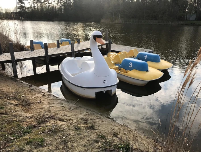 Bootsanleger am Obersee Tretboote in Form eines Schwans und Enten schwimmen an einem Holzsteg auf einem ruhigen See.