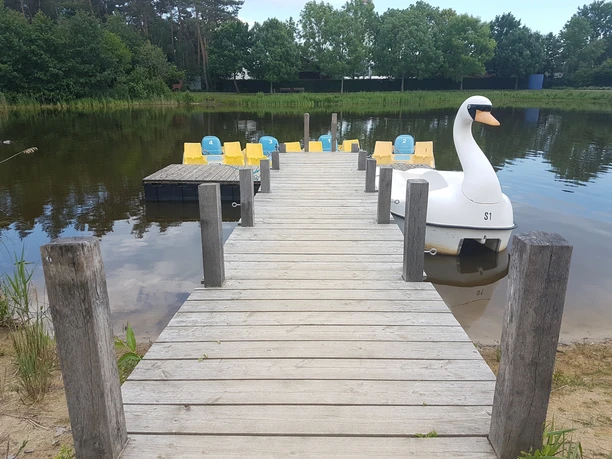 Tretbootverleih am Obersee Holzsteg mit Tretbooten und einem Schwanentretboot am ruhigen Seeufer, umgeben von Bäumen.