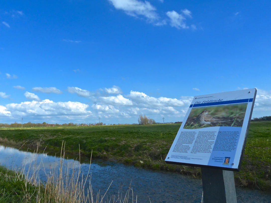 Freepsumer Meer Wiesenlandschaft des Freepsumer Meers mit einer Infotafel