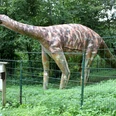 Modell eines Megalosauriers an den Saurierfährten in Bad Essen – Barkhausen. Dinosauriermodell in einem grünen Park hinter einem Metallzaun, neben einem Infotafel.