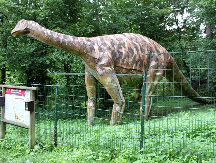Modell eines Megalosauriers an den Saurierfährten in Bad Essen – Barkhausen. Dinosauriermodell in einem grünen Park hinter einem Metallzaun, neben einem Infotafel.