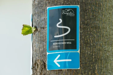 Markierungszeichen Zuweg Bergischer Weg <p>Wegweiser-Schild "Bergischer Weg" an einem Baum, weist mit Pfeil die Gehrichtung.</p>