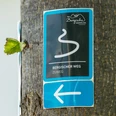 Markierungszeichen Zuweg Bergischer Weg <p>Wegweiser-Schild "Bergischer Weg" an einem Baum, weist mit Pfeil die Gehrichtung.</p>