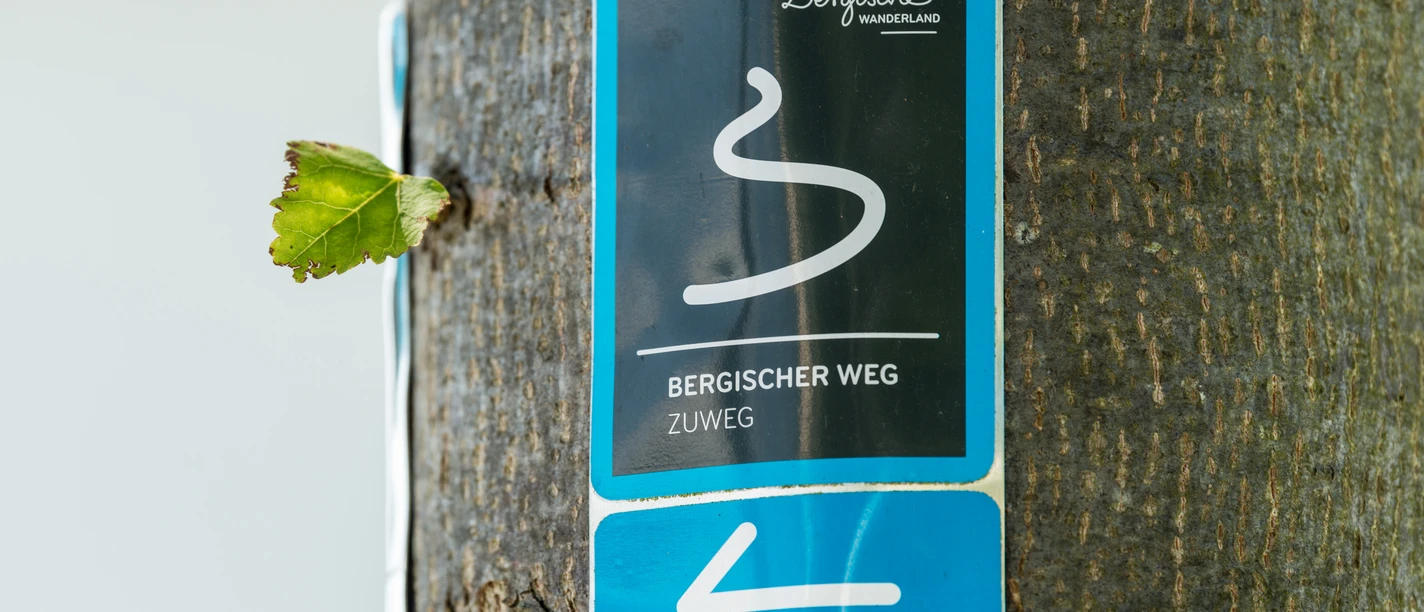 Markierungszeichen Zuweg Bergischer Weg <p>Wegweiser-Schild "Bergischer Weg" an einem Baum, weist mit Pfeil die Gehrichtung.</p>