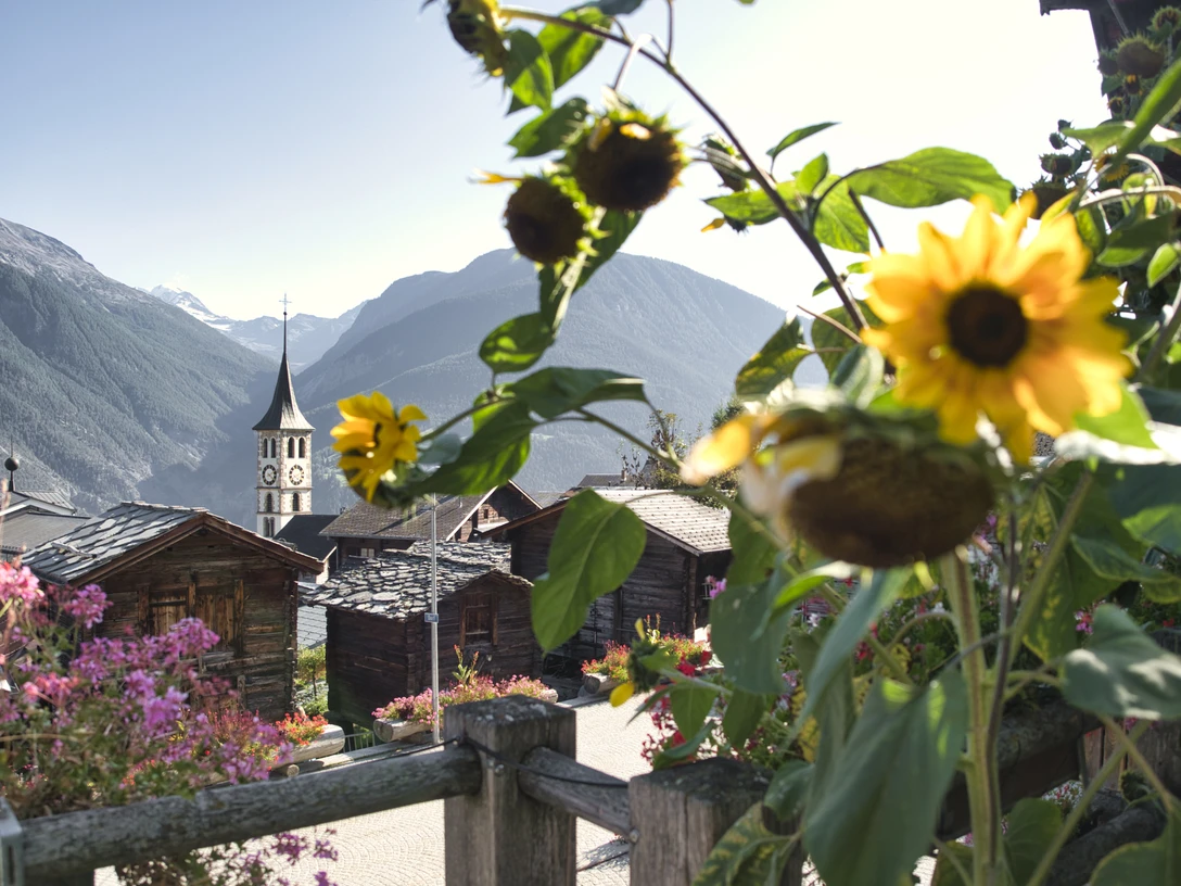 Das Safrandorf hat sehr vieles zu bieten. Das Safrandorf hat sehr vieles zu bieten.