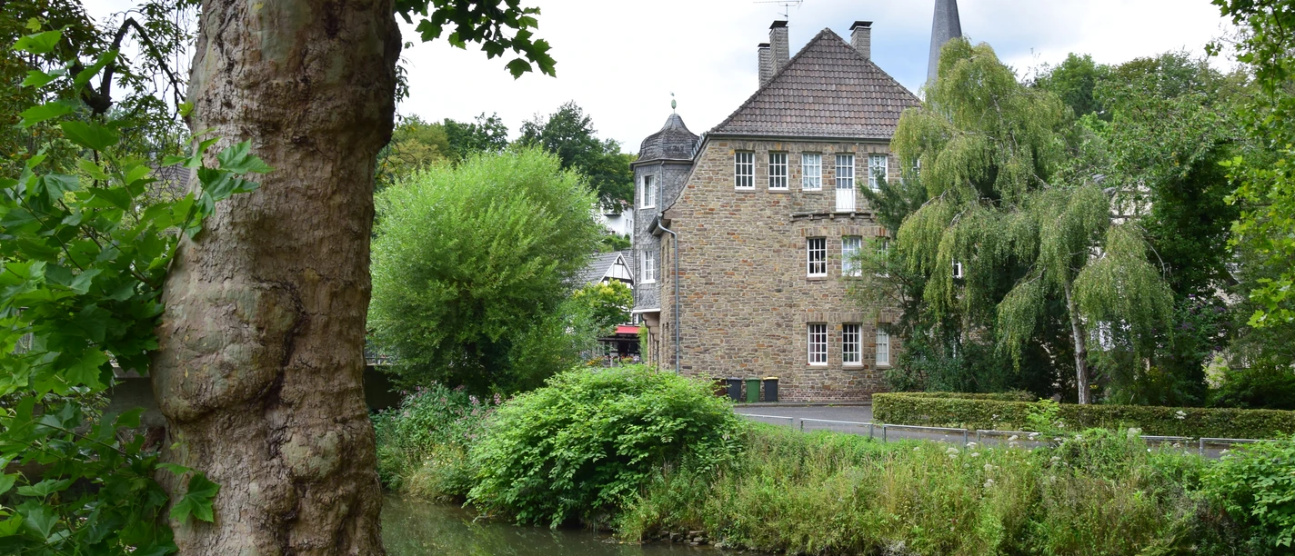 Ensemble Volberg Eine historische Steinmühle an einem kleinen Fluss, umgeben von üppiger Vegetation und Bäumen.