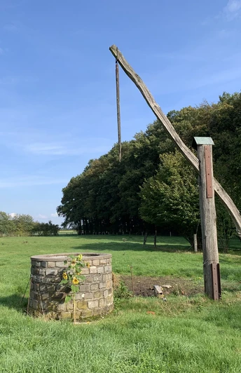 Unterwegs in St. Vit Alter Ziehbrunnen mit langem, hölzernem Hebelarm in einer grünen, baumgesäumten Wiesenlandschaft.