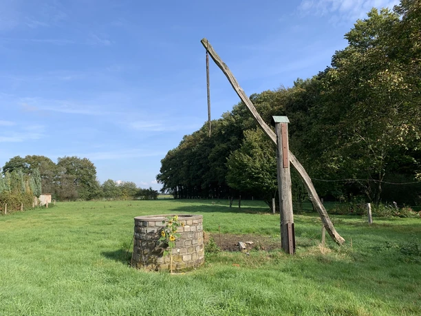 Unterwegs in St. Vit Alter Ziehbrunnen mit langem, hölzernem Hebelarm in einer grünen, baumgesäumten Wiesenlandschaft.
