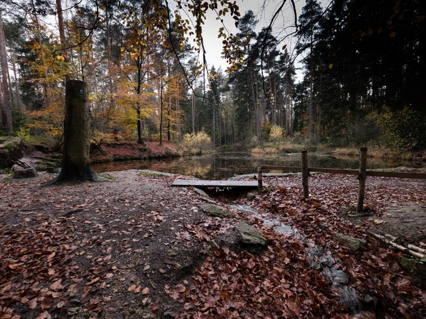 Ein kleiner See, umgeben von herbstlich gefärbten Bäumen, unter einem wolkigen Himmel.
