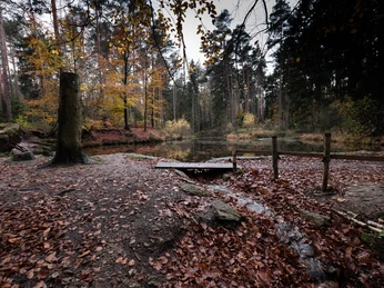 Blauer See Ein kleiner See, umgeben von herbstlich gefärbten Bäumen, unter einem wolkigen Himmel.