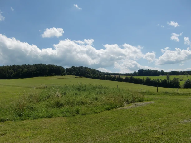 Blick über Wiesen bei Waldbröl Weite grüne Wiesen unter blauem Himmel mit weißen Wolken und einem Wald am Horizont.