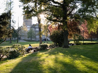 Sonnenuntergang im Schlosspark Detmold, mit grünen Wiesen, Bäumen und dem historischen Gebäude im Hintergrund.