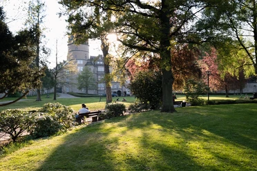 Schlosspark Detmold Sonnenuntergang im Schlosspark Detmold, mit grünen Wiesen, Bäumen und dem historischen Gebäude im Hintergrund.