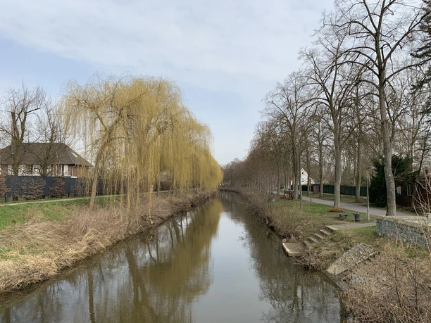 Entlang der Ems Ein schmaler Fluss mit kahlen Bäumen und Weiden auf beiden Ufern bei bewölktem Himmel.