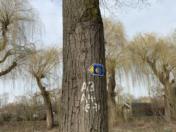 Nicht durchgängig markiert Baumstamm mit Jakobsmuschel-Schild, umgeben von kahlen Weiden, entlang eines kleinen Flusses.