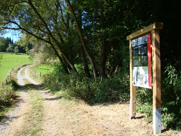 Infotafel am Waldmythenweg <p>Waldweg mit Infotafel und Bäumen, sonniger Tag, ländliche Umgebung in Waldbröl.</p>