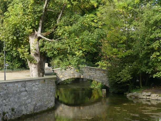 Steinbrücke überspannt sanft fließenden Bach, umgeben von dichtem Grün und spiegelndem Wasser.