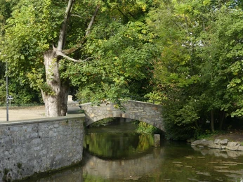 Brücke über die Dielenpader Steinbrücke überspannt sanft fließenden Bach, umgeben von dichtem Grün und spiegelndem Wasser.