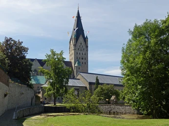 Dielenpader und Dom Der Dom mit dem hohen Turm ragt hinter üppigen Bäumen auf, flankiert von alten Steinmauern.