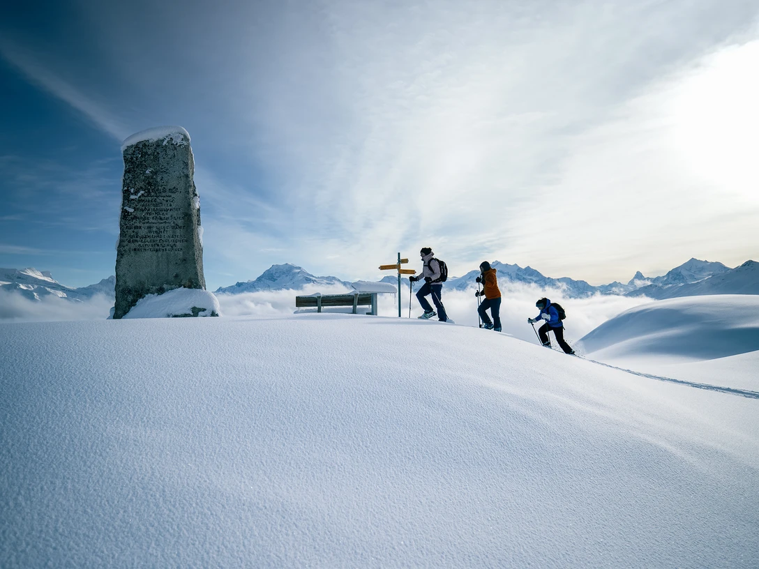 Das Tyndall-Denkmal steht auf dem Triembiel. Das Tyndall-Denkmal steht auf dem Triembiel.