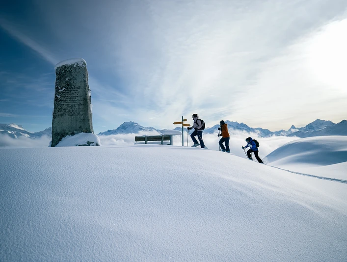 Das Tyndall-Denkmal steht auf dem Triembiel. Das Tyndall-Denkmal steht auf dem Triembiel.