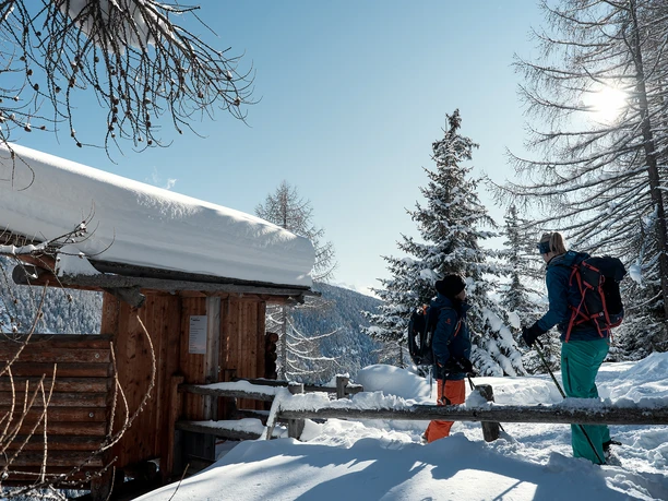 Ungestört die einheimische Tierwelt im Aletschgebiet beobachten. Ungestört die einheimische Tierwelt im Aletschgebiet beobachten.