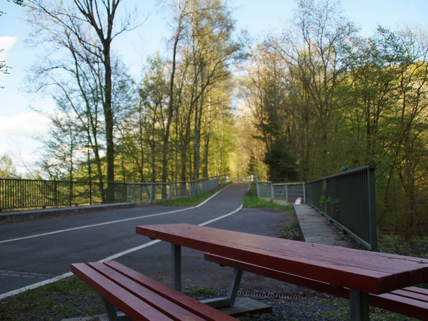 Ein ruhiger Fahrradweg durch einen lichten Wald, mit Picknicktisch und Sitzbank im Vordergrund.