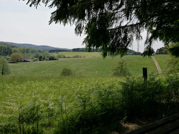 L`ommer jon Weg Weite grüne Wiesen in Lindlar, gesäumt von Bäumen, mit Hügeln am Horizont unter leicht bewölktem Himmel.